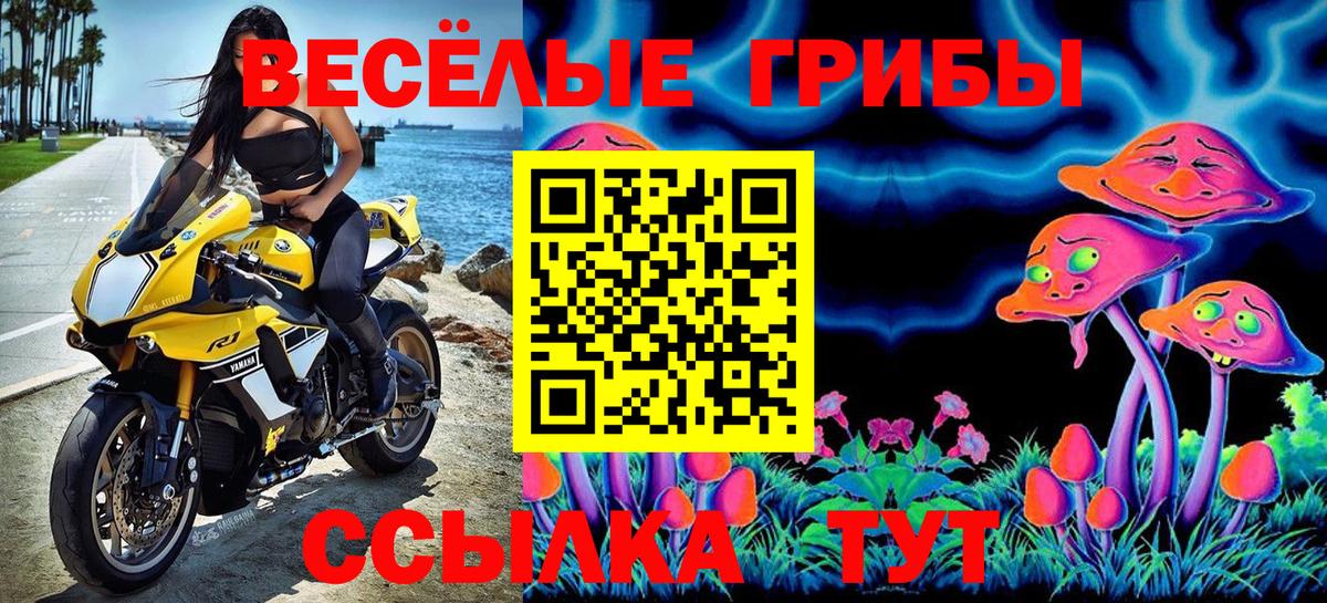 Галлюциногенные грибы ЛСД  Галлюциногенные грибы мухоморы  сколько стоит  Вход с VPN  Чапаевск 